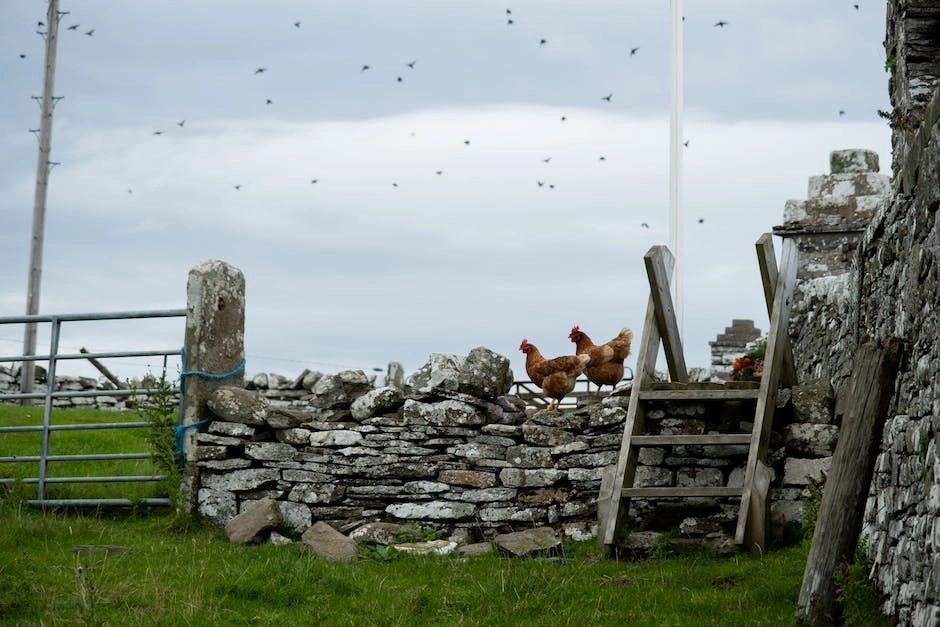 how many holidays am i entitled to scotland